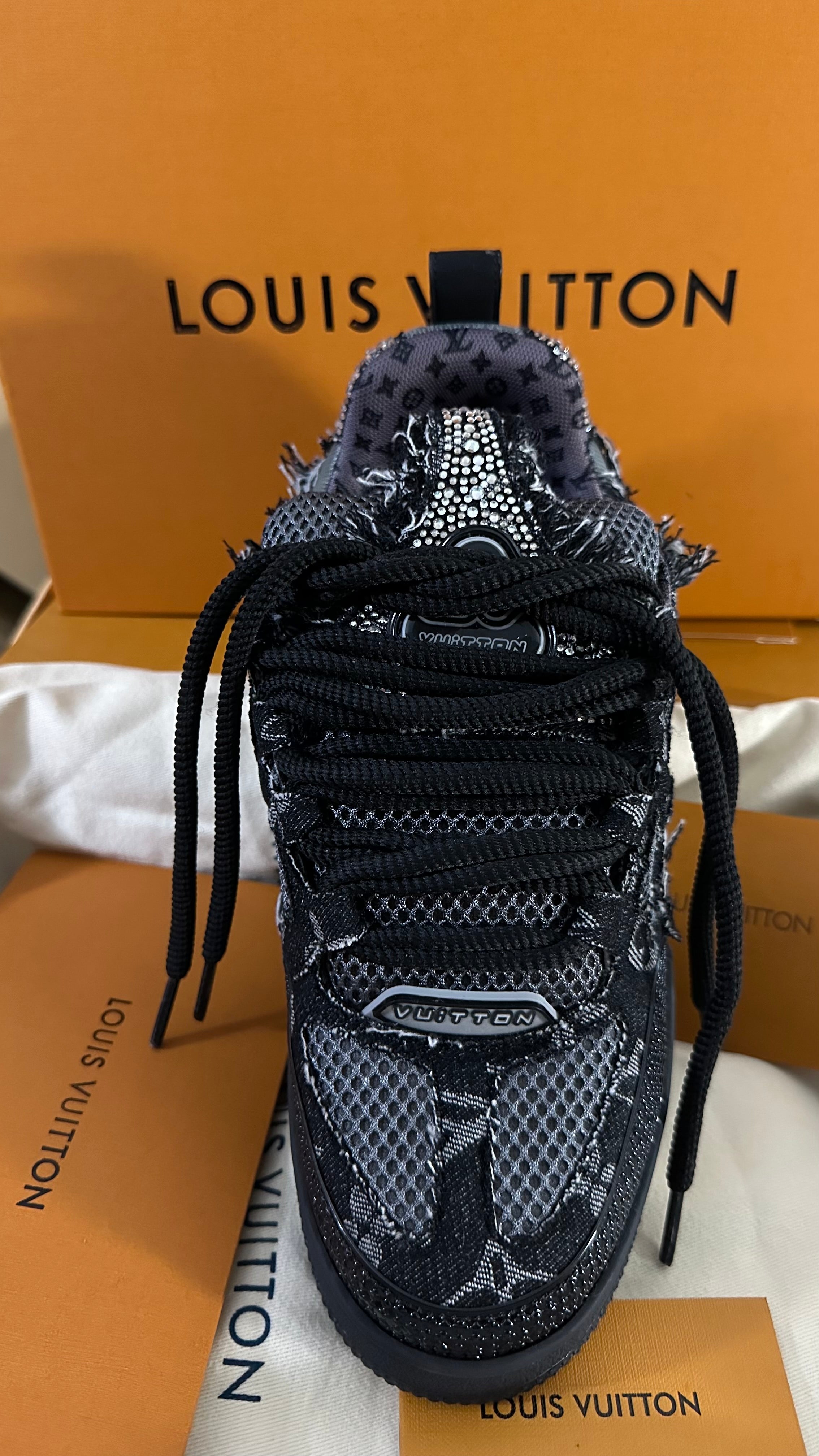 Louis Vuitton Skate Trainer