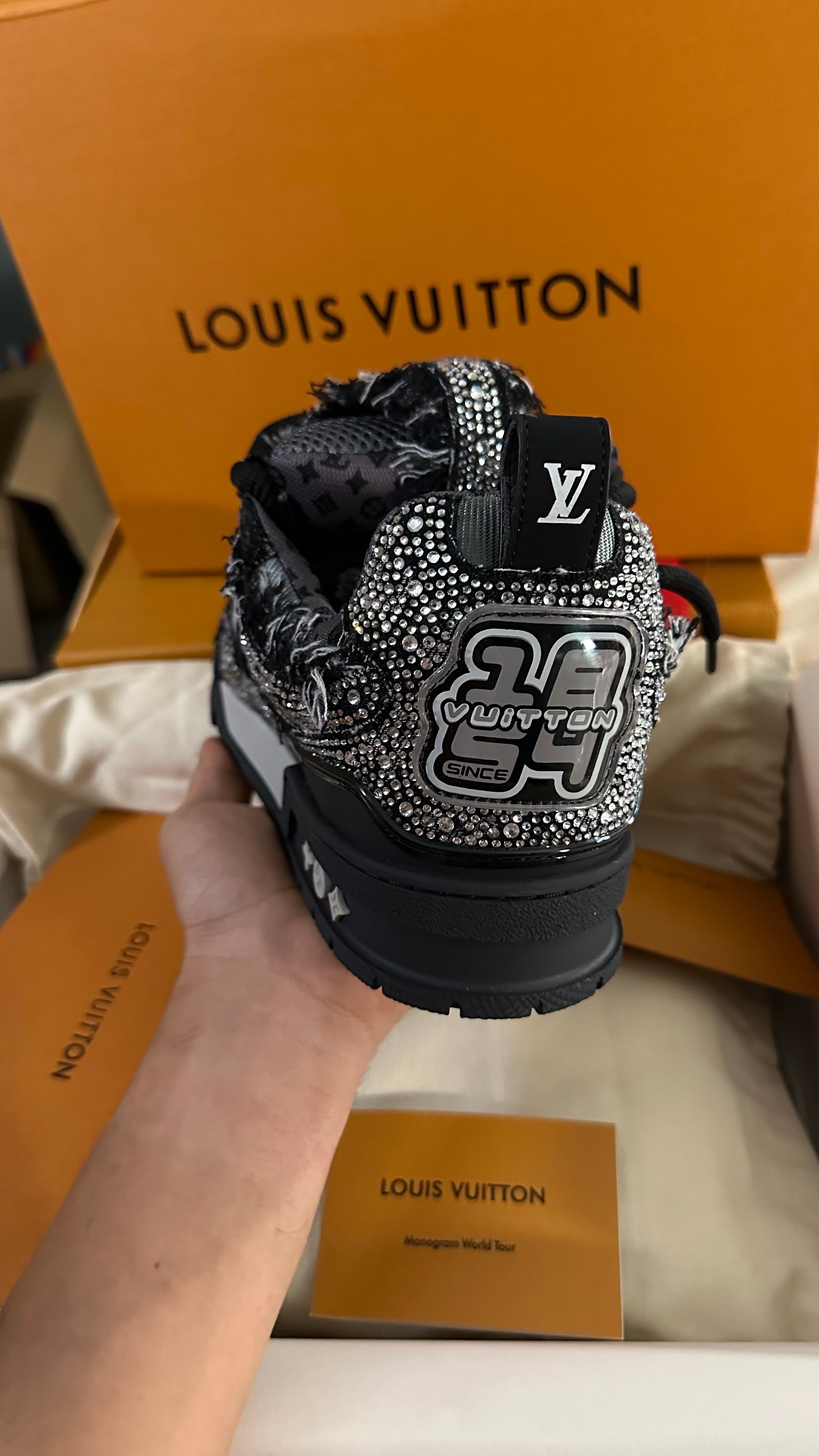 Louis Vuitton Skate Trainer